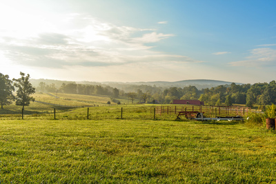 Farm Field